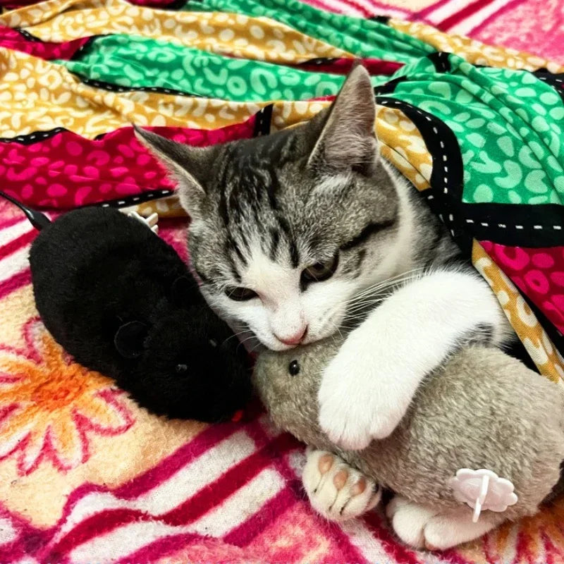 Automatic Swinging Tail Fan Toy for Cats and Dogs