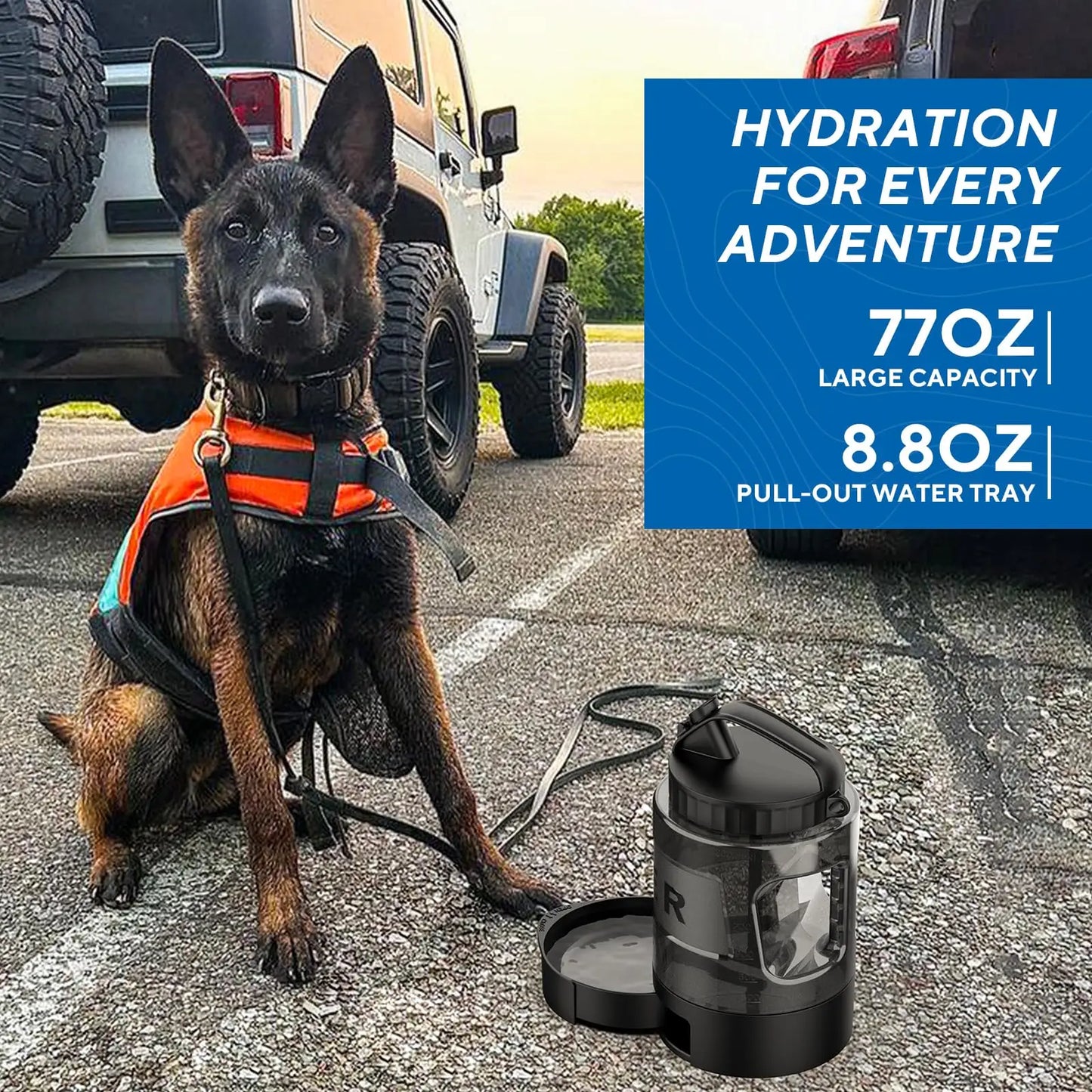 77oz Portable Dog Travel Water Bottle for Outdoor Adventures