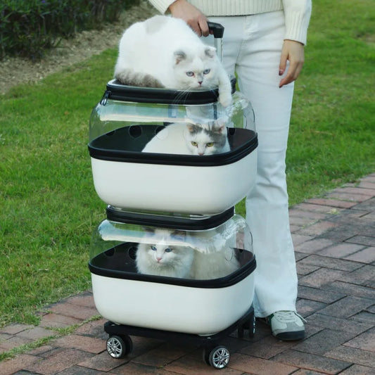 Double-Layer Cat Trolley Carrier with Wheels for Two Cats
