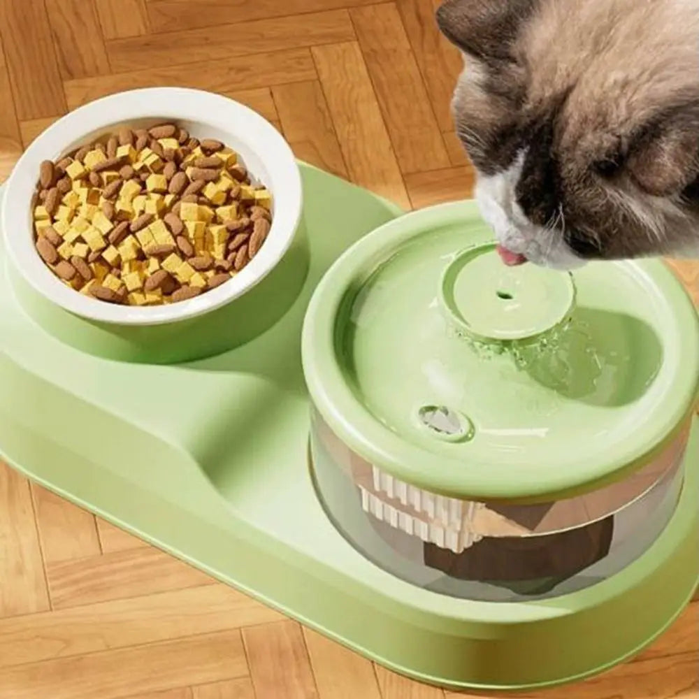 2-in-1 Automatic Pet Water Fountain with Filter