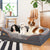 Super Soft Orthopedic Dog Bed with Bolster and Removable Cover