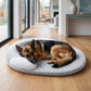 Summer Cooling Pet Mat for Small and Large Dogs Cats