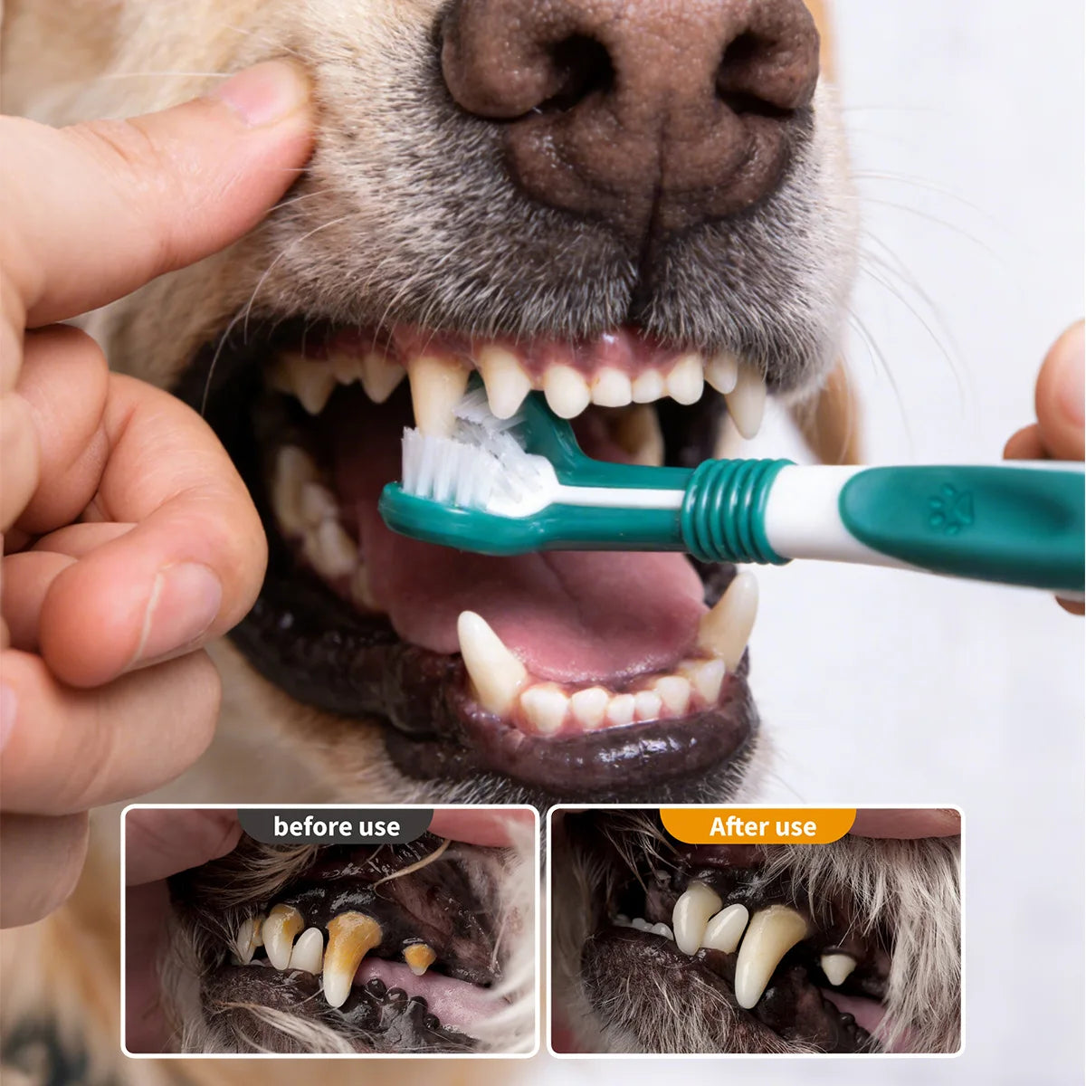 3-Sided Pet Toothbrush Dog Plastic Toothbrush Removing Tartar Cleaning Mouth Pet Care Cat Cleaning Mouth Dog Accessories