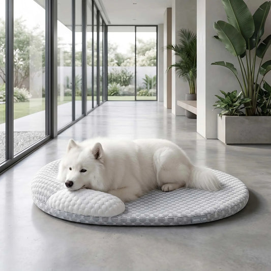 Summer Cooling Pet Mat for Small and Large Dogs Cats