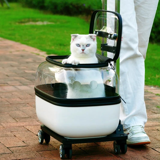 Double-Layer Cat Trolley Carrier with Wheels for Two Cats