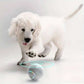 Smart Interactive Dog Toy Ball with USB Rolling RGB Lights