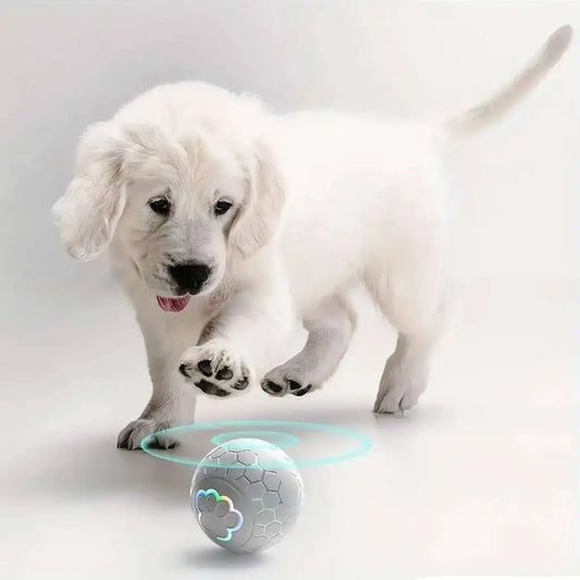 Smart Interactive Dog Toy Ball with USB Rolling RGB Lights