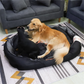 Orthopedic Sofa Dog Bed Waterproof Washable Cushion for Dogs